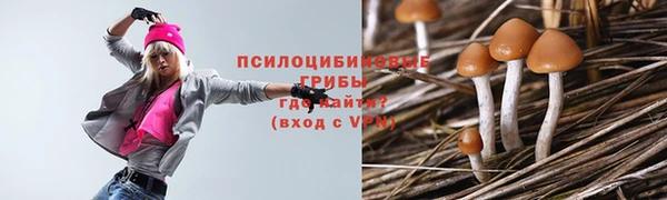 ECSTASY Дмитровск