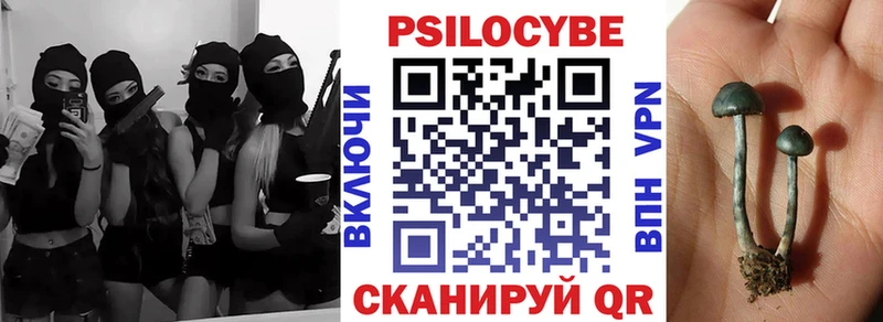 купить наркоту  Ленинградская  Псилоцибиновые грибы Cubensis 